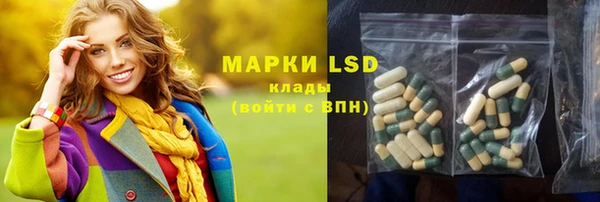 прущие грибы Горнозаводск