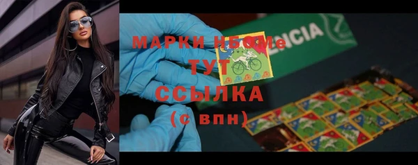 прущие грибы Горнозаводск