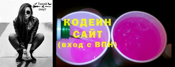 прущий лед Вяземский