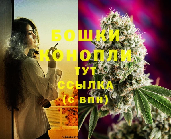 прущие грибы Горнозаводск