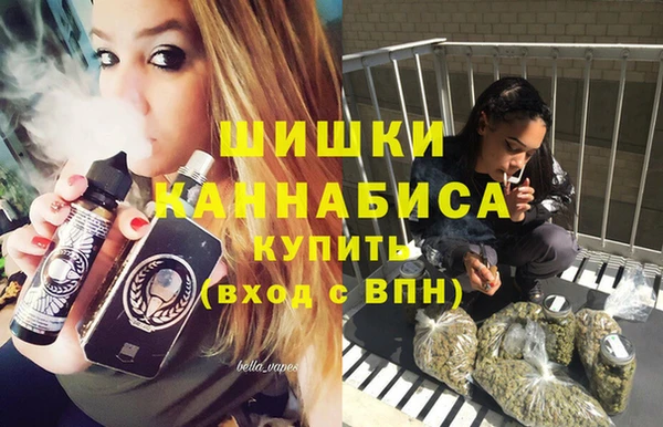 прущие грибы Горнозаводск