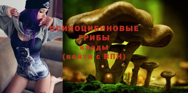 мдпв Горно-Алтайск
